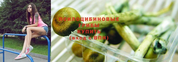 твердый Балахна