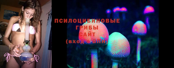 шишки Балабаново