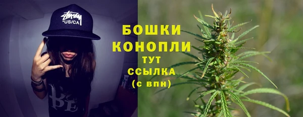 твердый Балахна