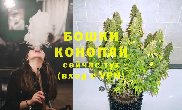 шишки Балабаново